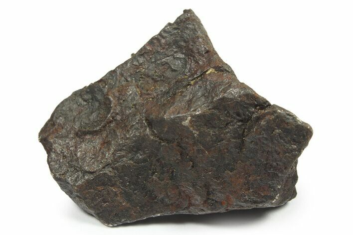 Canyon Diablo Iron Meteorite ( g) - Arizona #270520